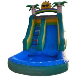 Sun Palm Tree Water Slide 15ft