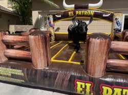 Mechanical Bull