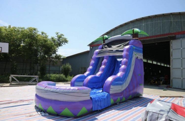 Purple Palm Tree Water Slide