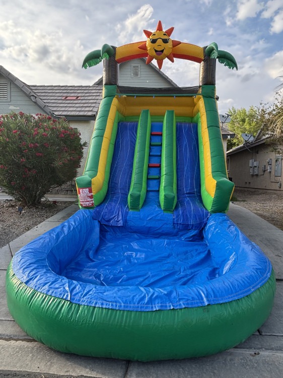 Sun Palm Tree Dual Lane Water Slide